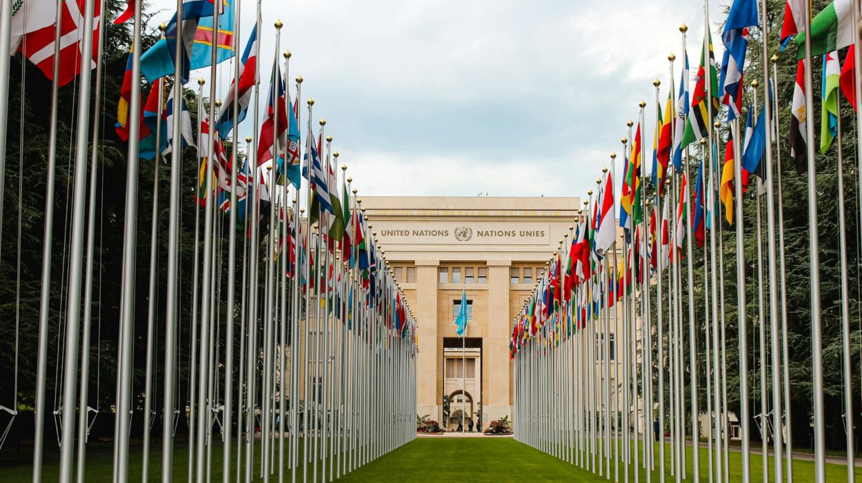 From below of various flags on flagpoles located in green park in front of entrance to the UN headquarters in Geneva