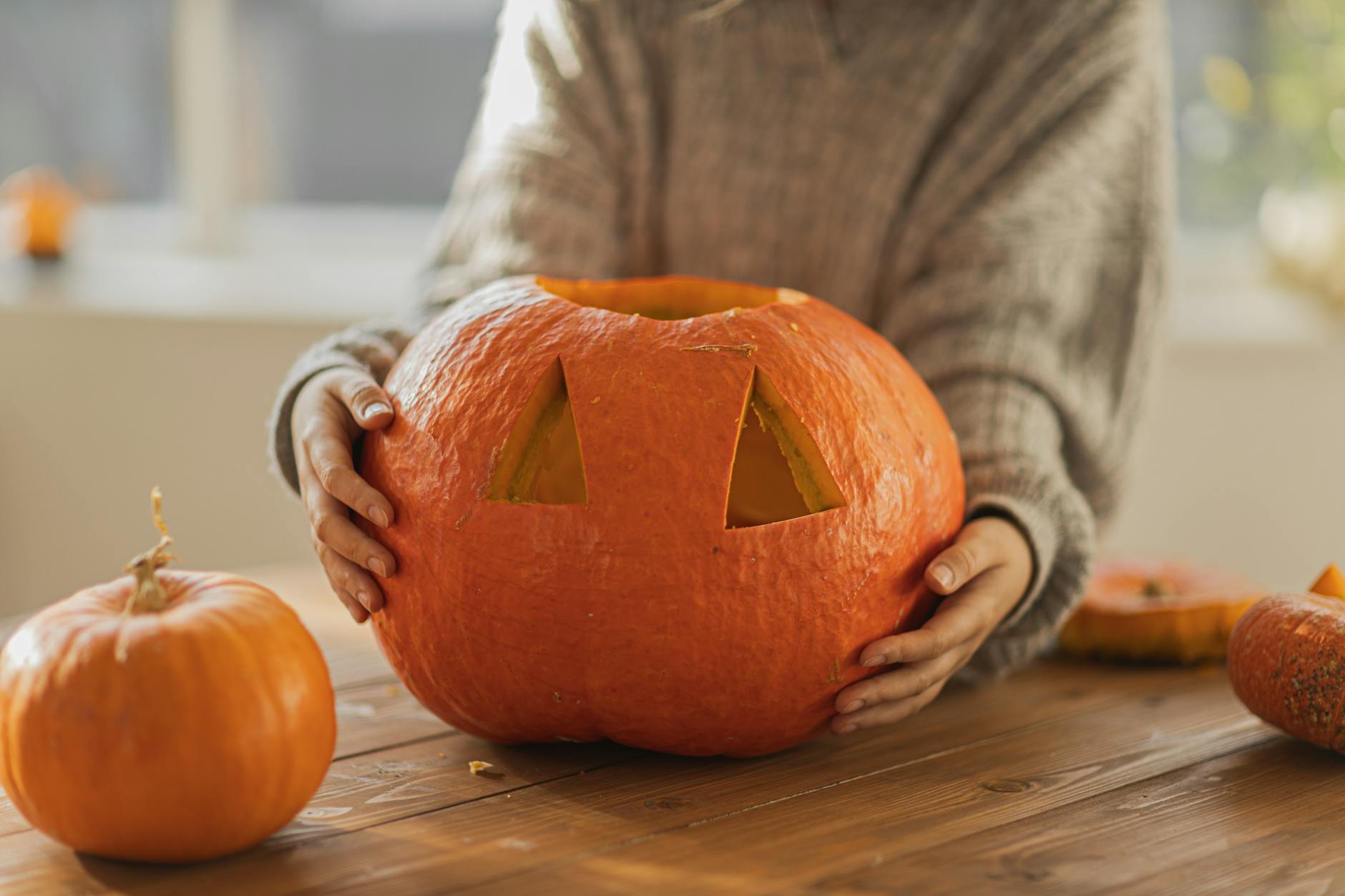 Person Holding A Jack O' Lantern