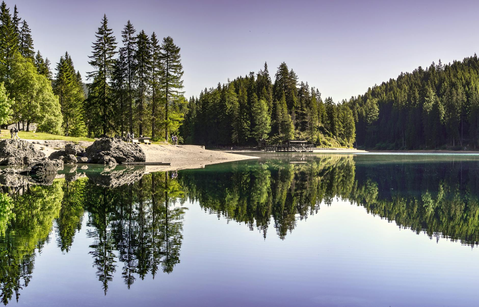 Body of Water Near Trees